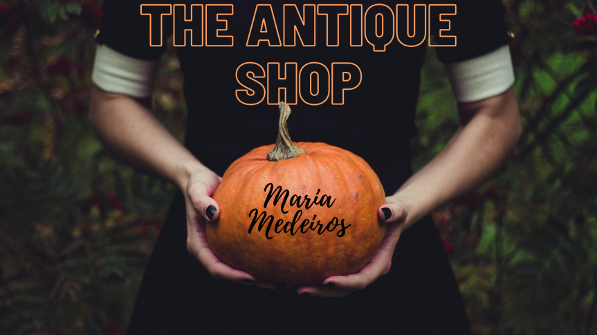 The Antique Shop – A Short Story